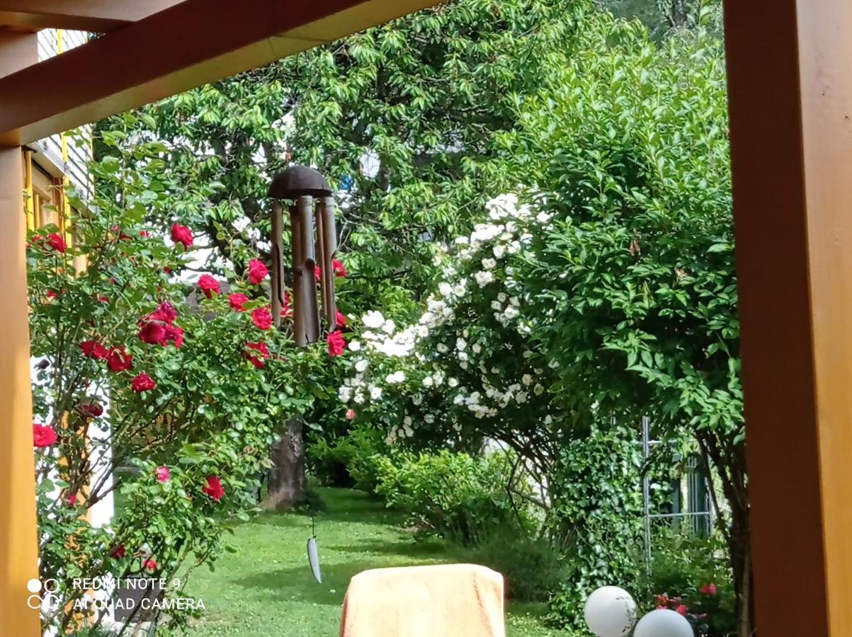 Ferienhaus Familie Zimmermann كوتسشاش ام سي المظهر الخارجي الصورة